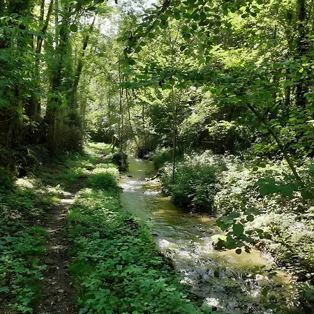 Ariege Le Chant De La Riviere Carla-de-Roquefort