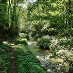 Ariege Le Chant De La Riviere Carla-de-Roquefort