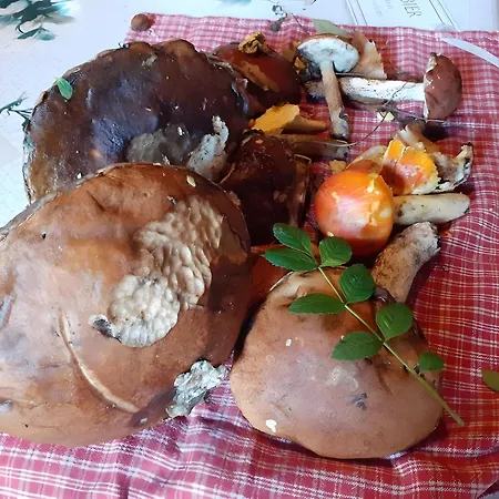 Le Chant De La Riviere Holiday home *