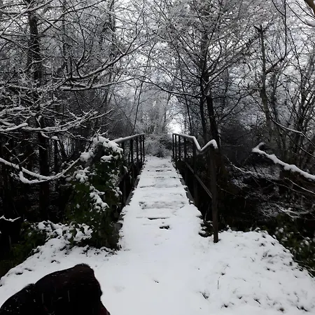 Holiday home Le Chant De La Riviere Carla-de-Roquefort