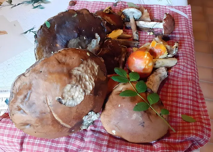 Le Chant De La Rivière Casa vacanze *