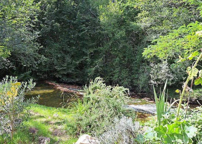 Le Chant De La Riviere Carla-de-Roquefort