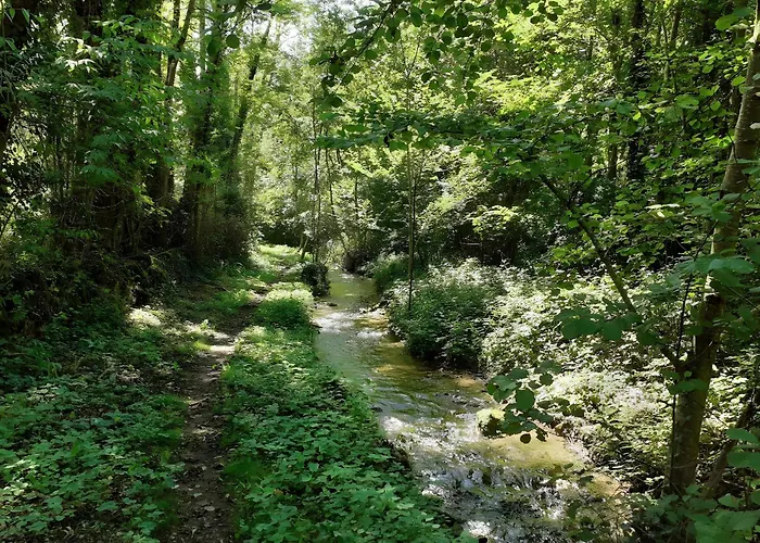 Le Chant De La Riviere *